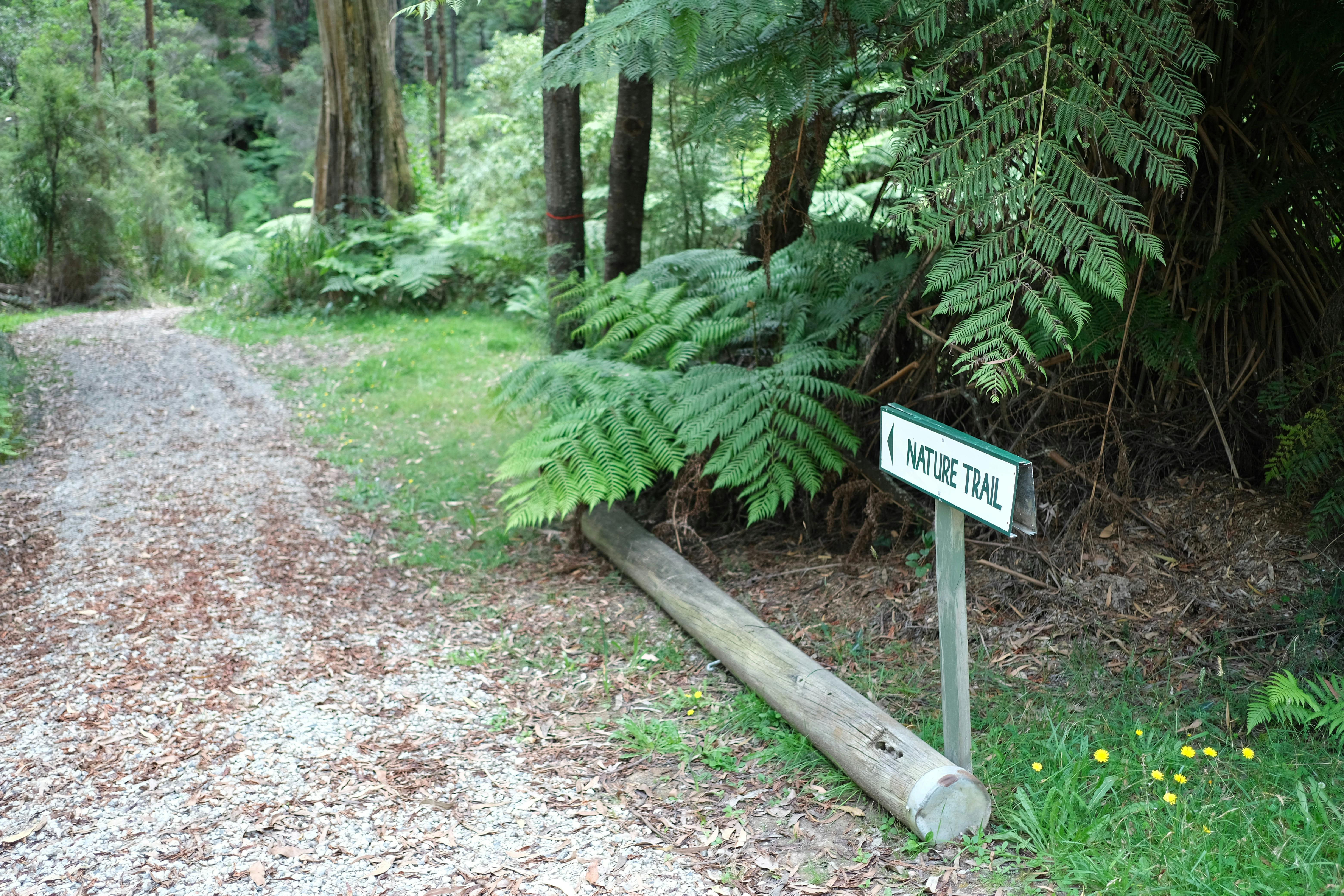 Gilwell Park Adventure Centre