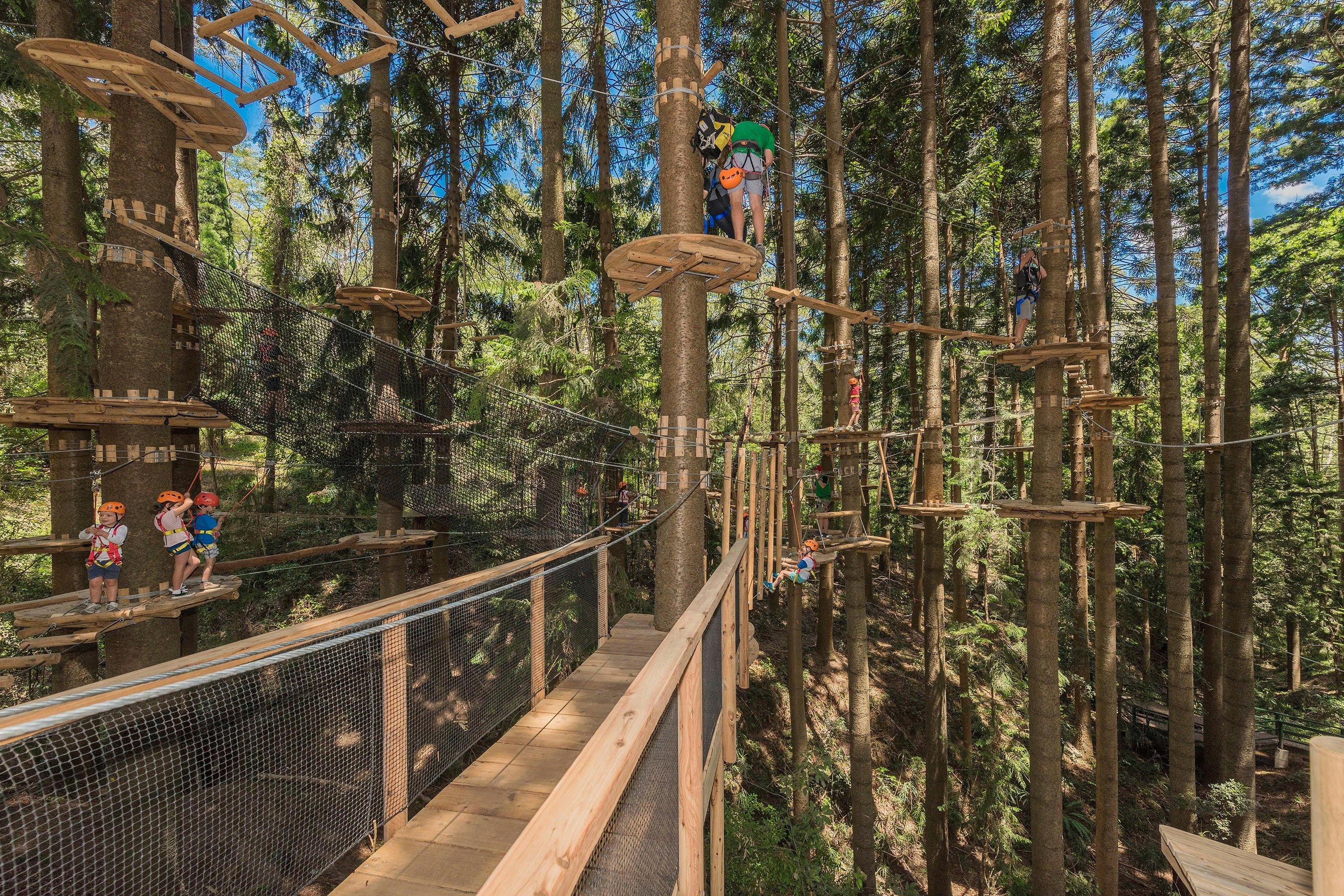 TreeTops Sydney The Hills | Sydney, Australia - Official Travel