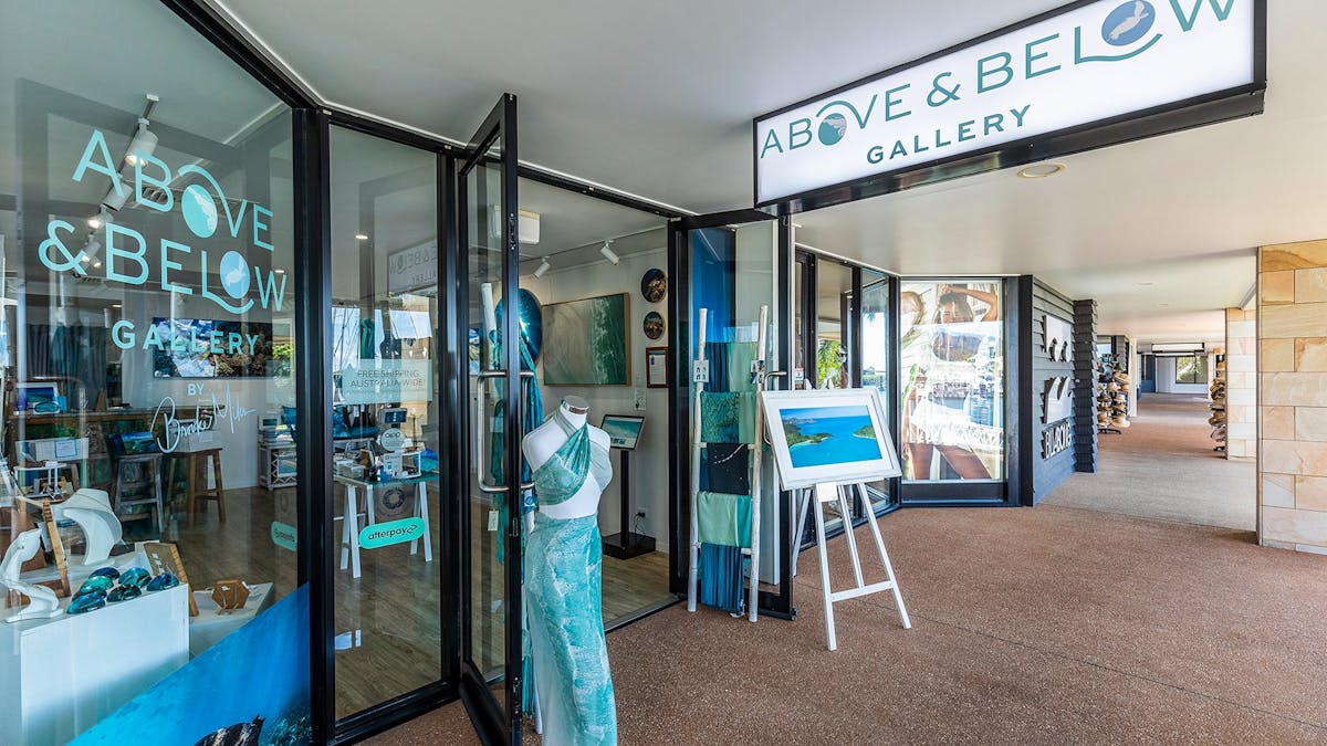 front doorway and path at the front of Above and Below Gallery showing location