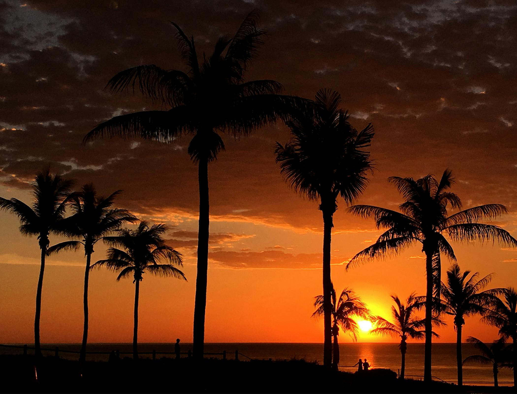 Kimberley Wild Expeditions, Broome, Western Australia