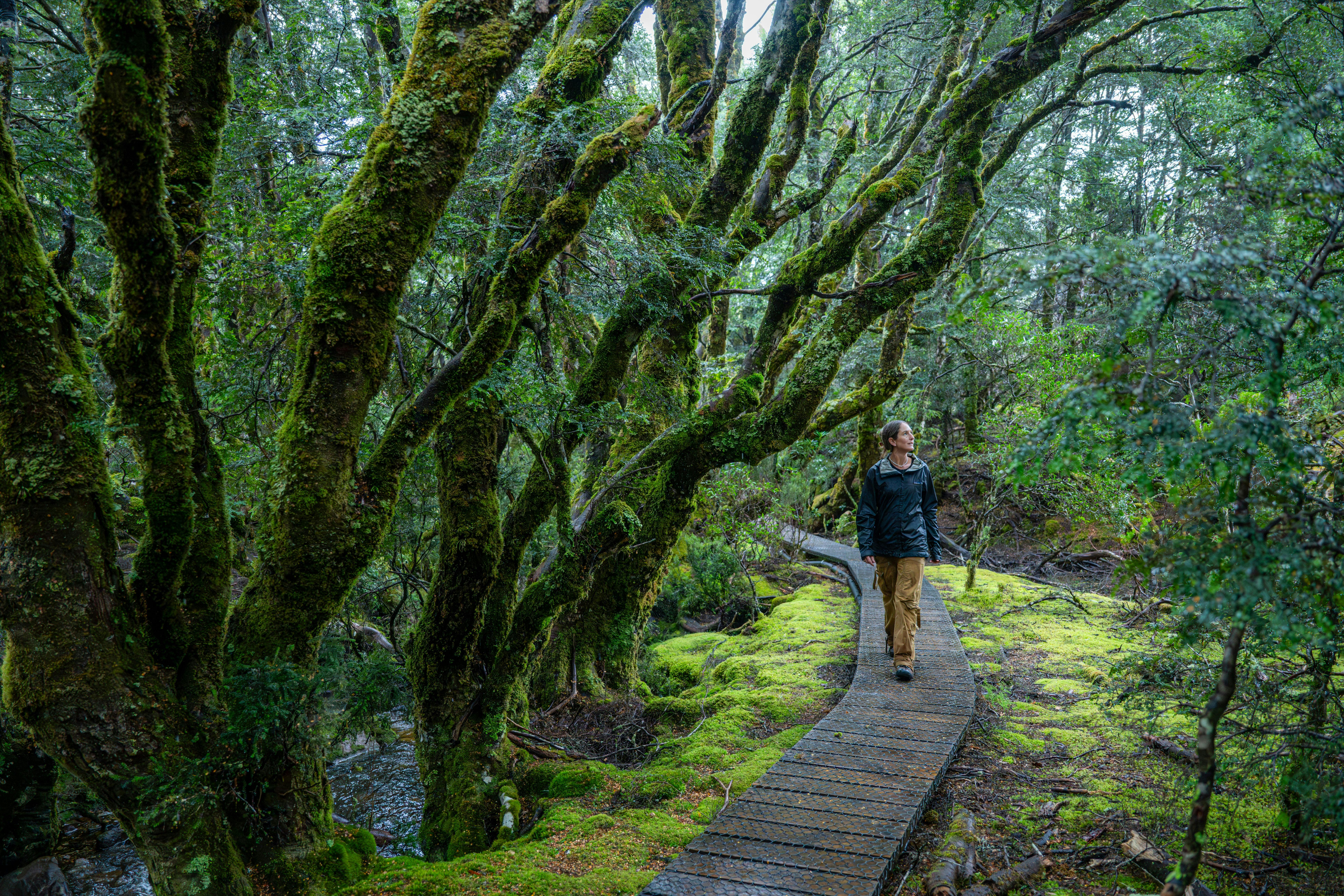 sara walking at cradle