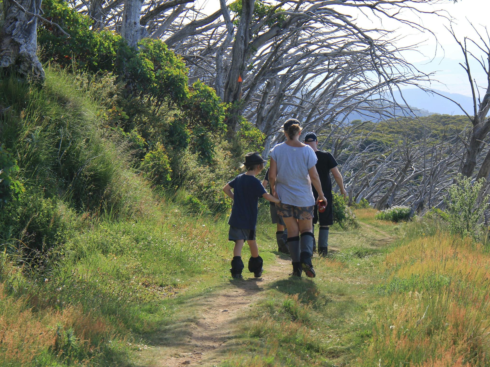 A family with young children enjoying hikes around Mt Stirling.