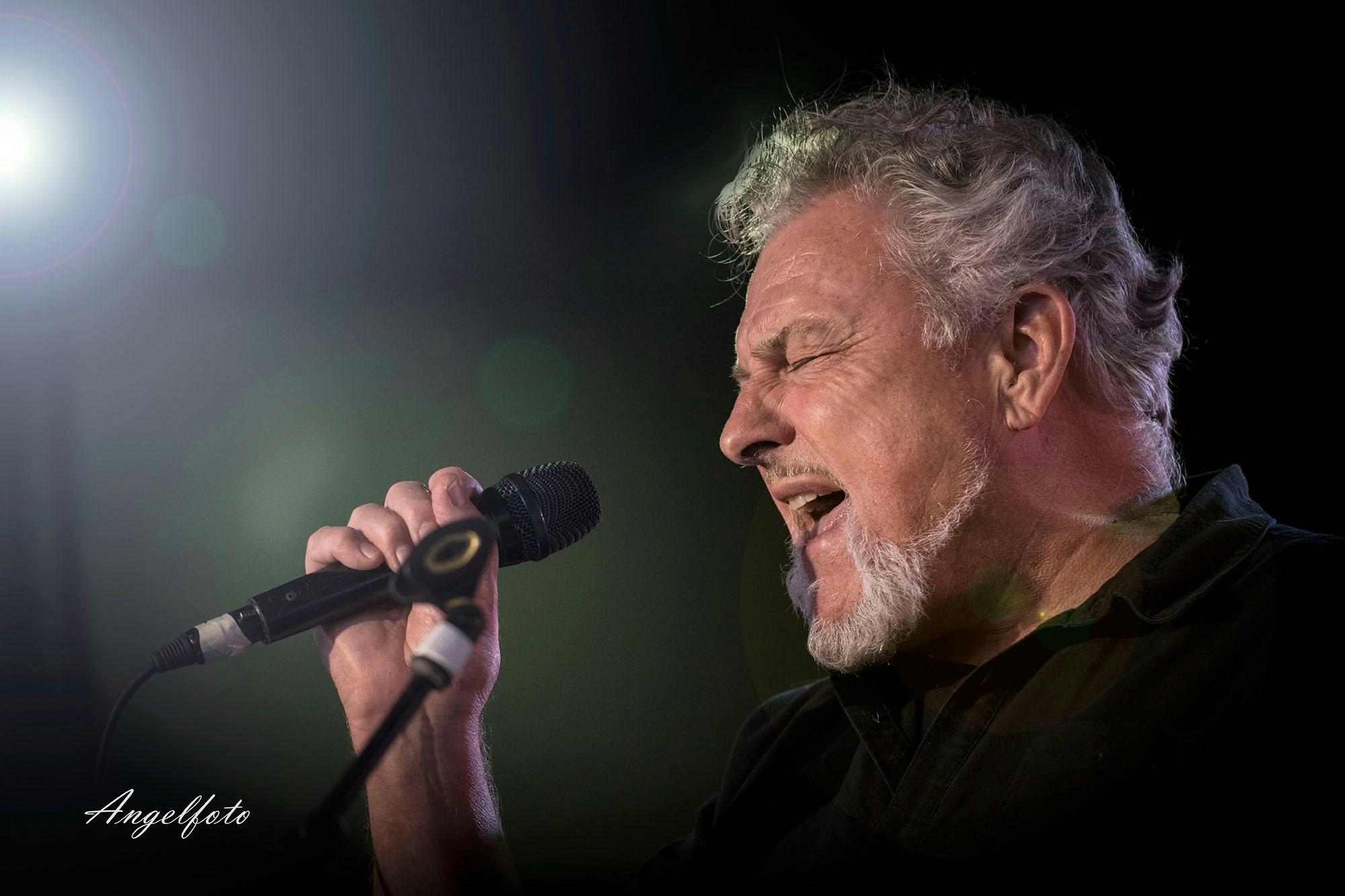 Ross Wilson & The Peaceniks - 50 Years of Hits