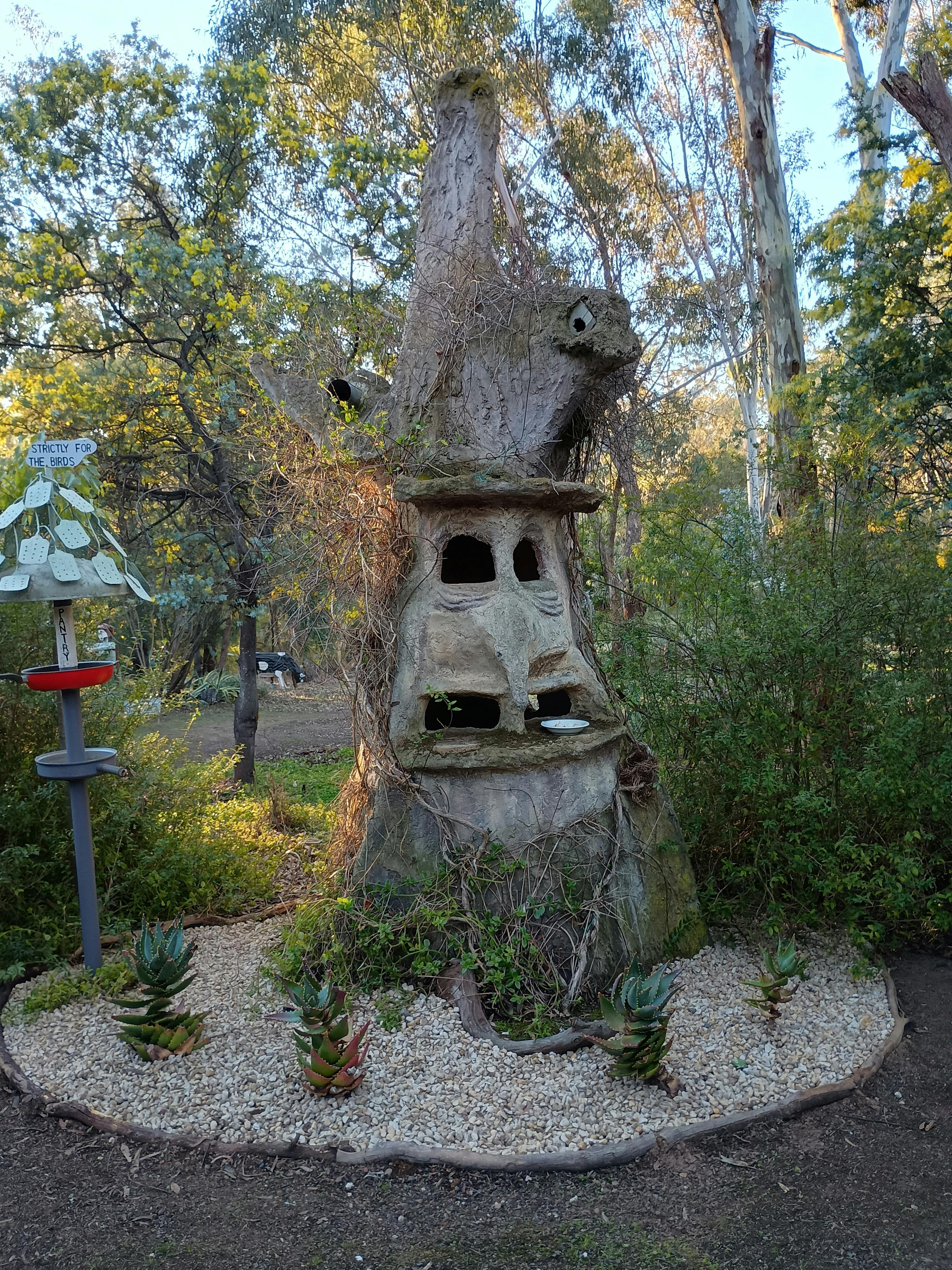 It's for the birds