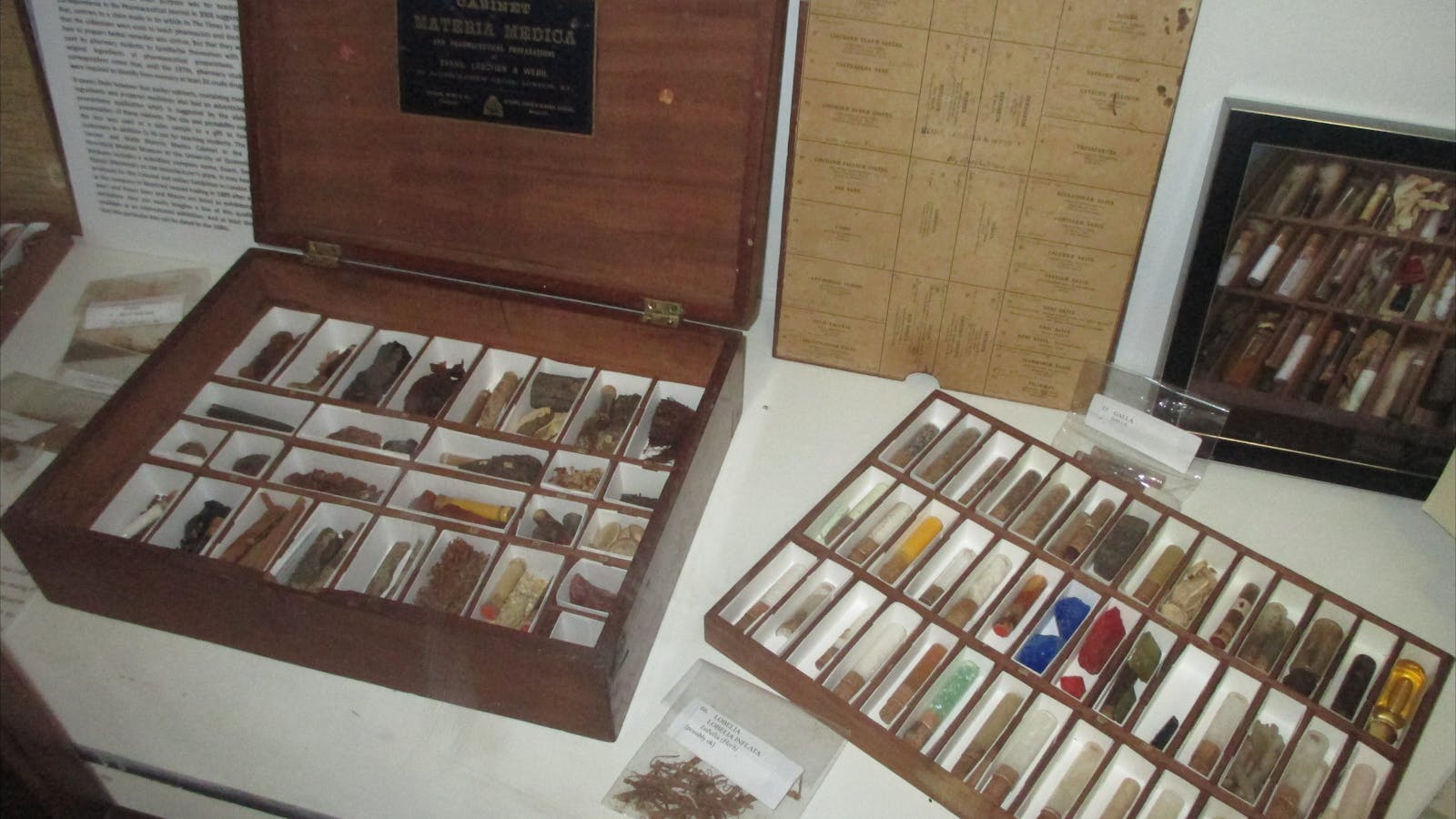 UQ Marks-Hirschfeld Museum of Medical History
