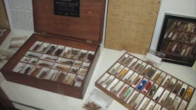 Materia Medica