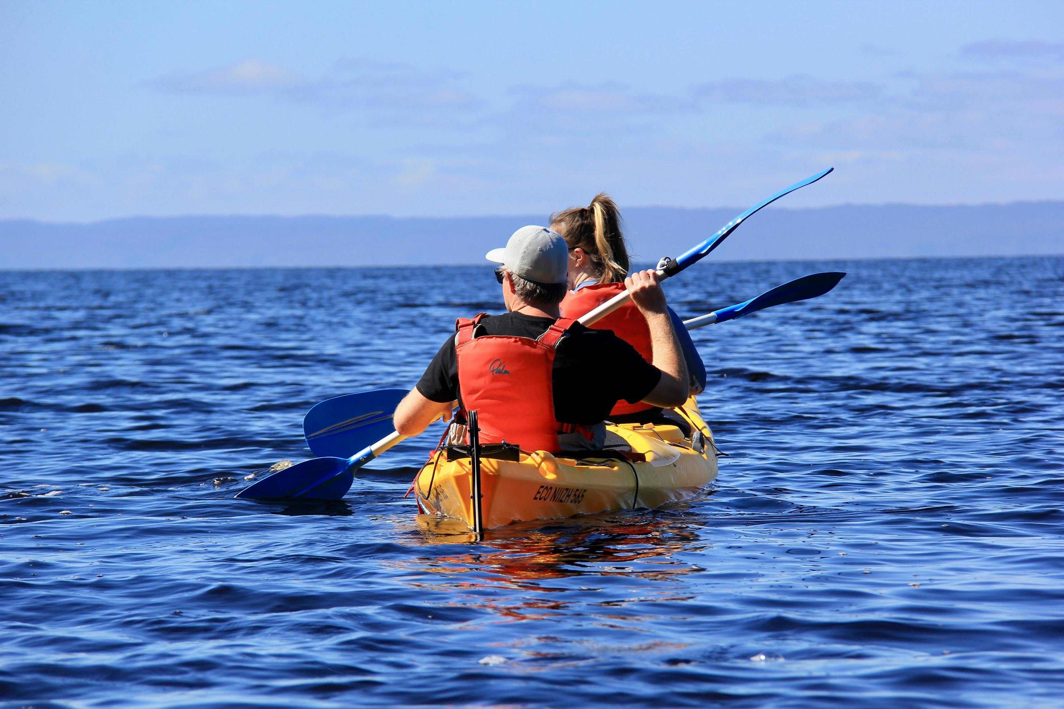 Morning Paddle on the Bay