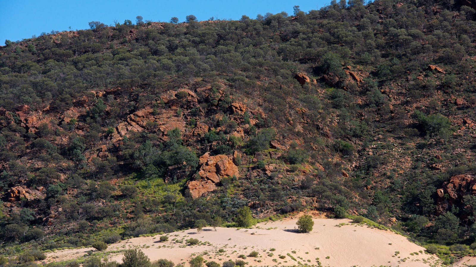 Climbing Dune Jesse Emily Gap