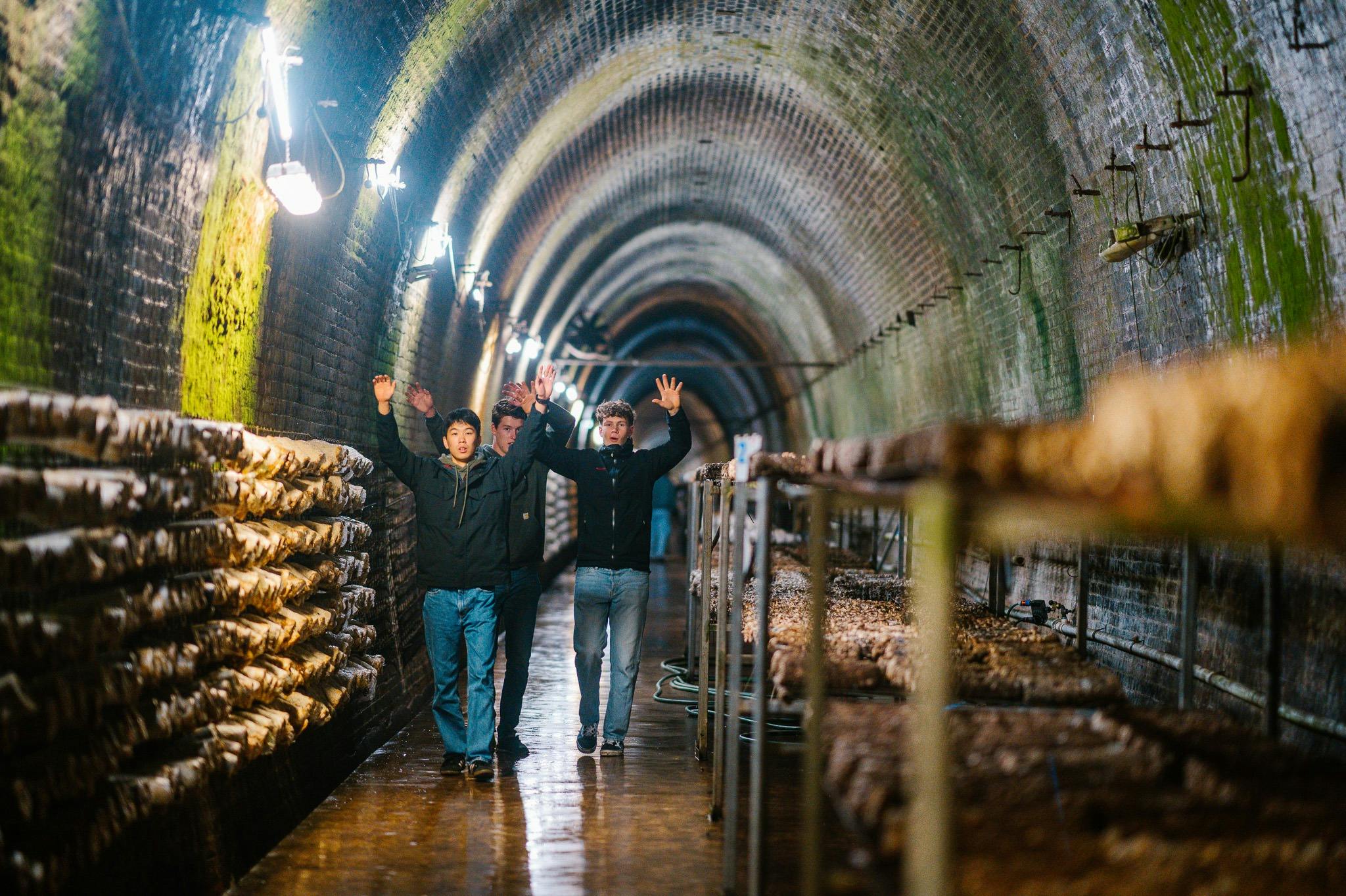 The amazing interior