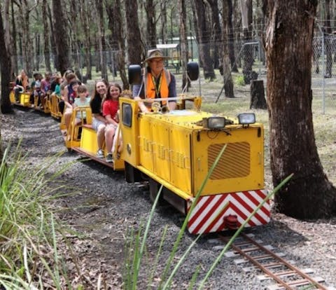 mini train