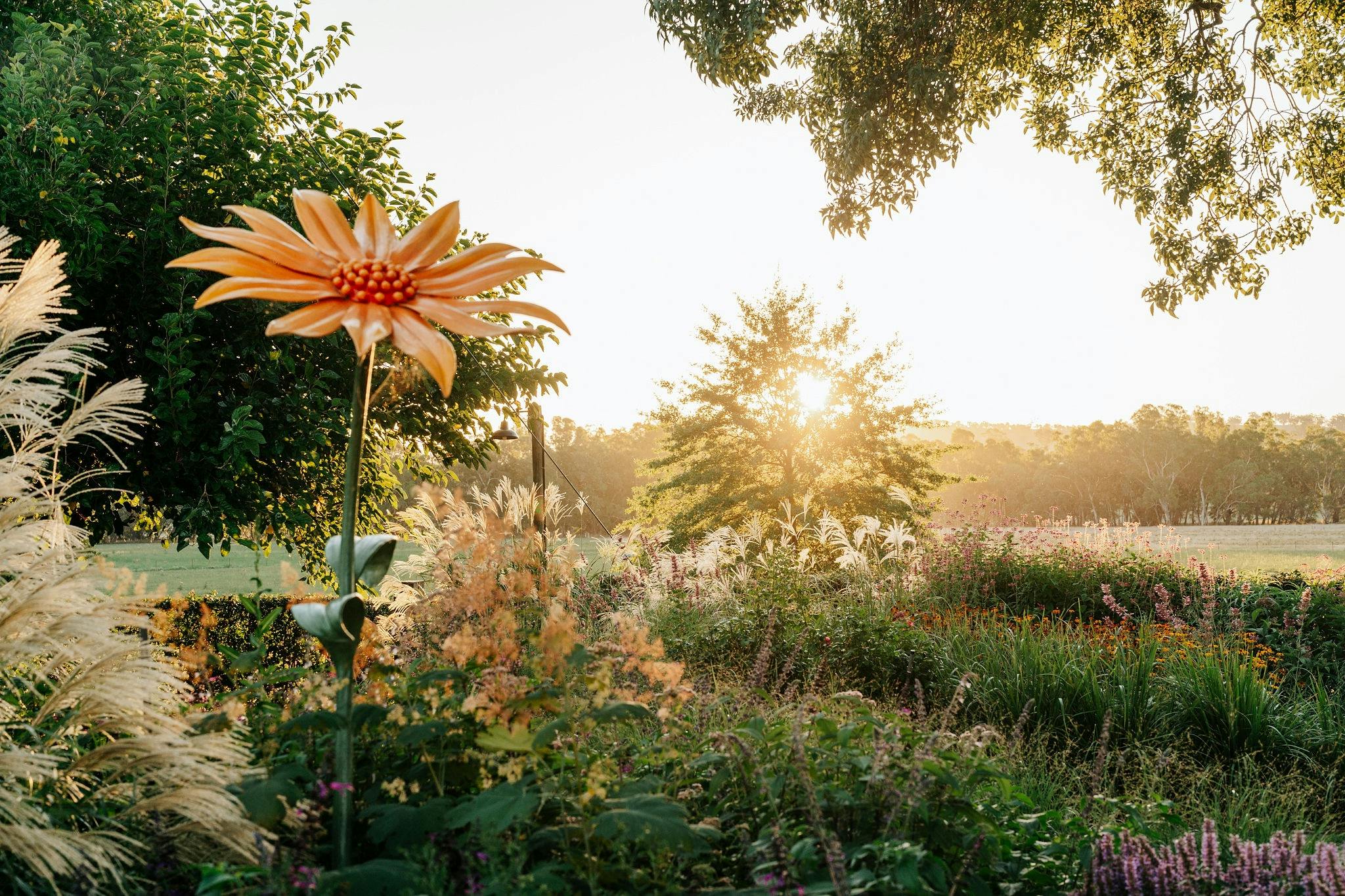 Ladysmith Park Perennials Garden and Nursery Summer Open Day