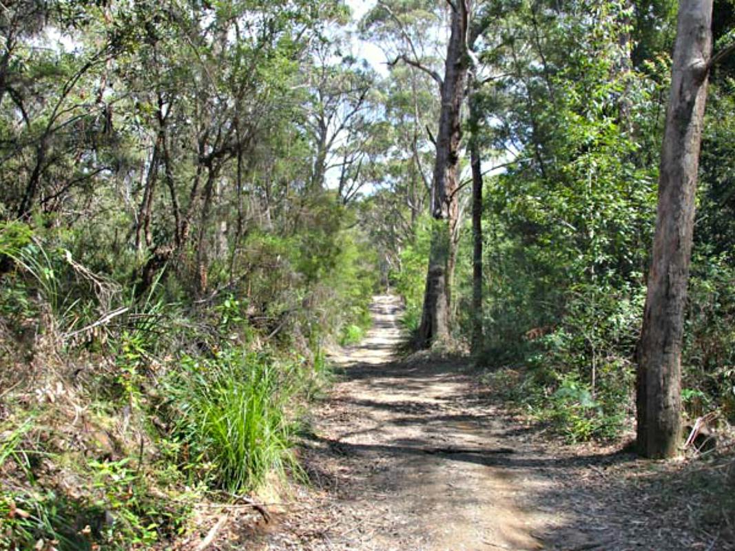 Heath and Bare Creek Trails