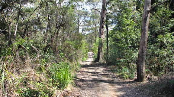 Heath and Bare Creek Trails