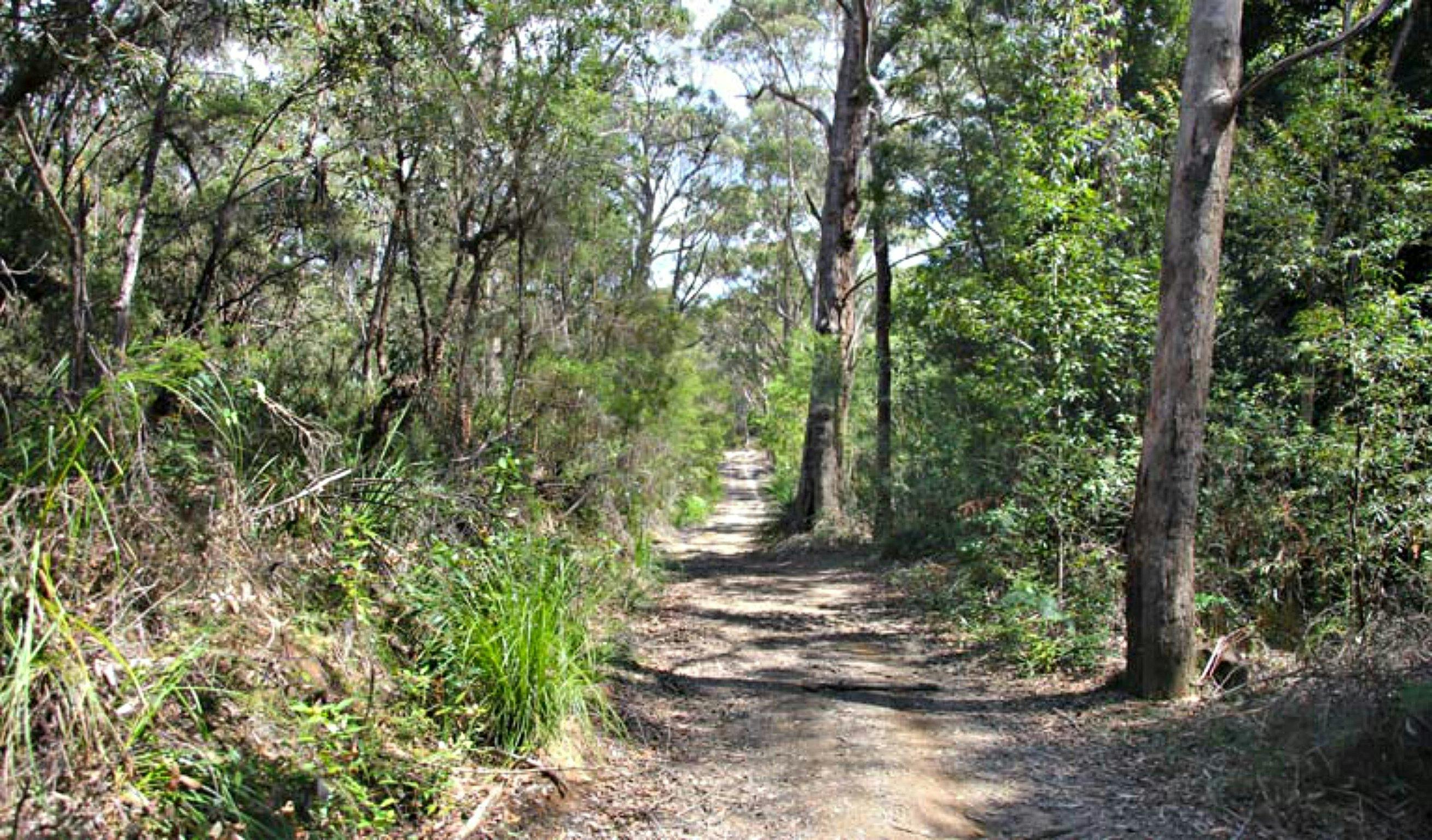 Heath and Bare Creek Trails Sydney, Australia Official Travel