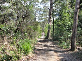 Heath and Bare Creek trails, Garigal National Park. Photo: Kim McClymont/NSW Government