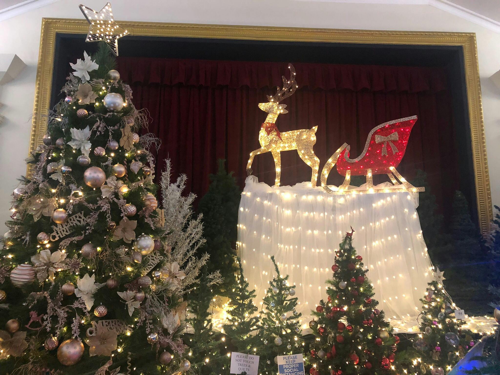 Beautiful display of Christmas