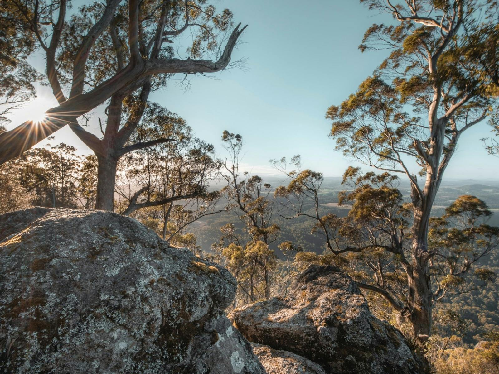 Dial Range view of bushland, trees and the coast in the distance on a sunny day
