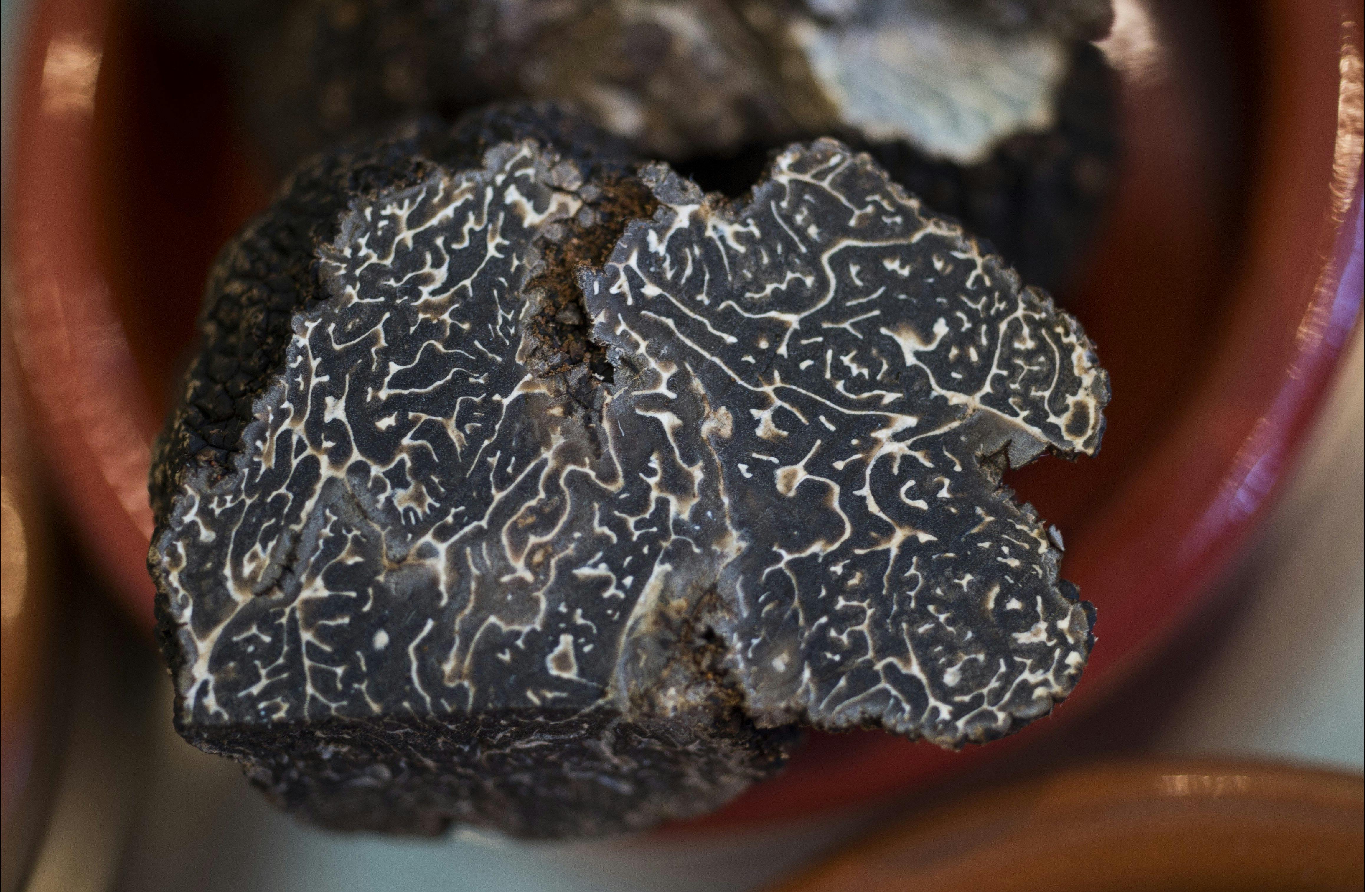 The inside of a truffle