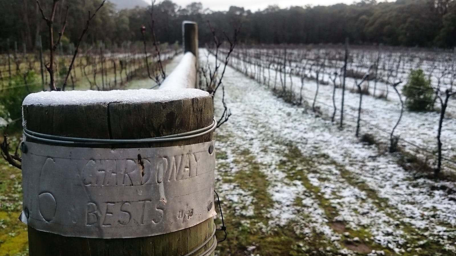 Mount Buninyong Winery