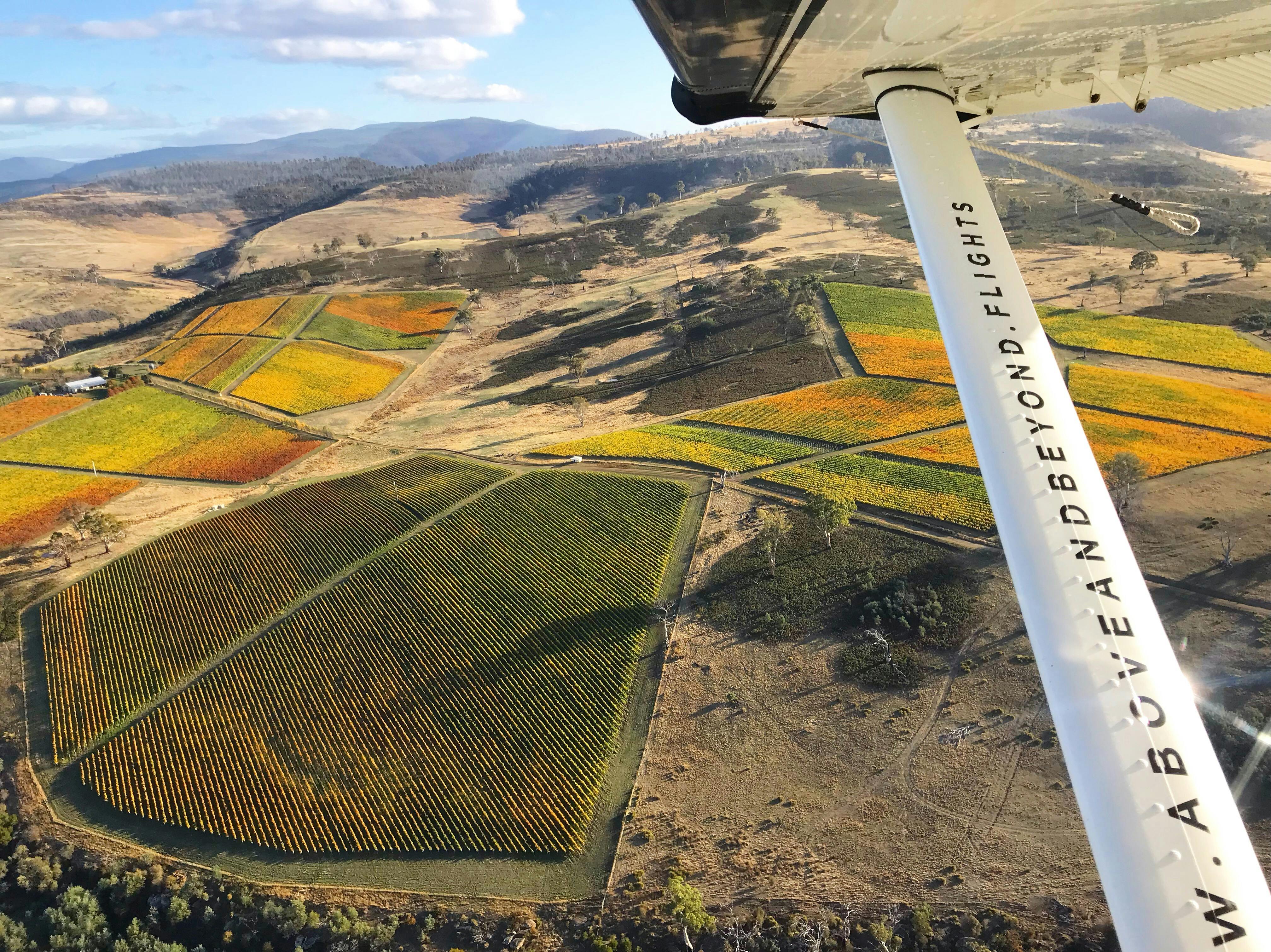 Meadowbank Vineyard by seaplane