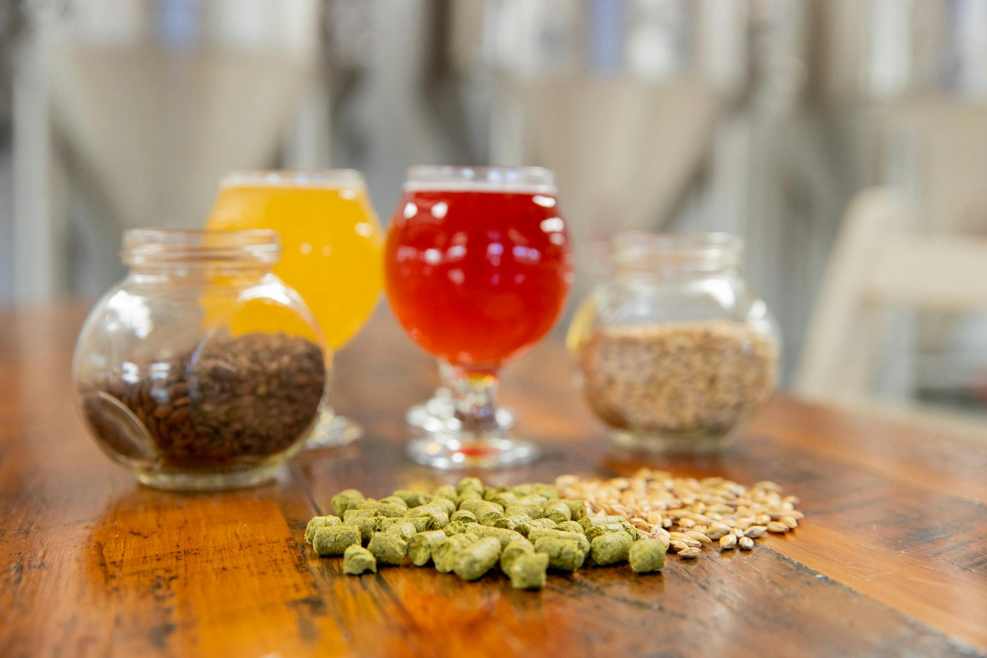 Key ingredients of beer