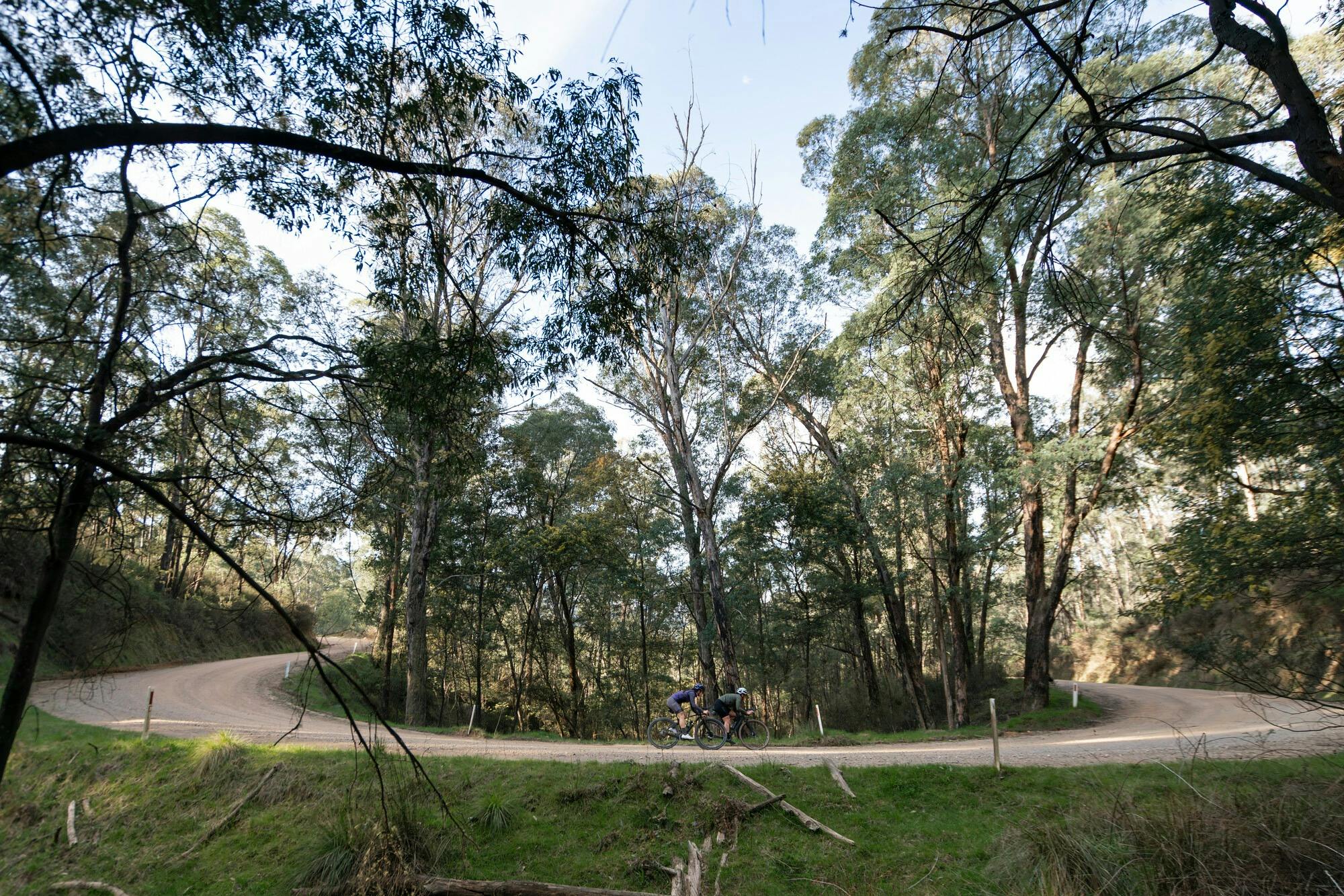 Two cyclists riding a gravel road on a hairpin turn through native bushland scenery.