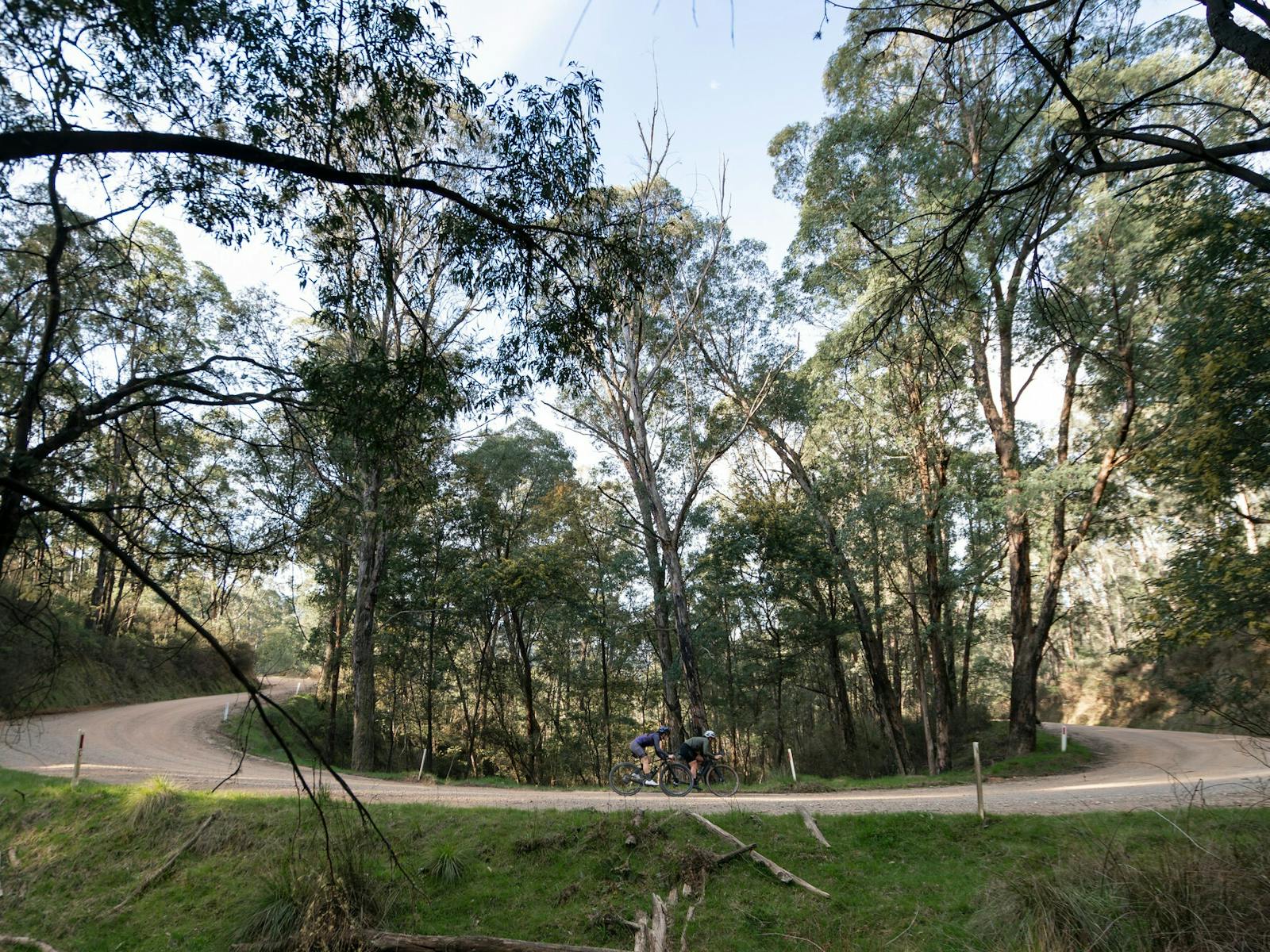 Two cyclists riding a gravel road on a hairpin turn through native bushland scenery.