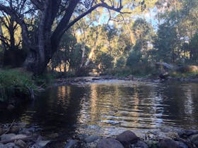 Mirimbah Park