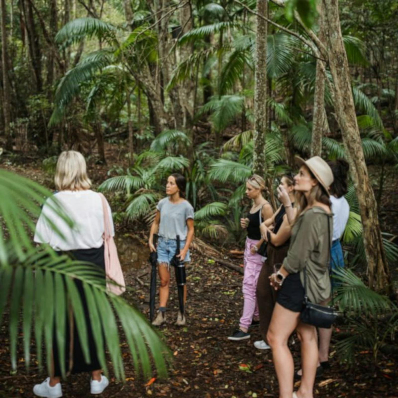 people in the rainforest listening to someone speak