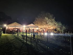 Sound Views Wine & Music Night - September