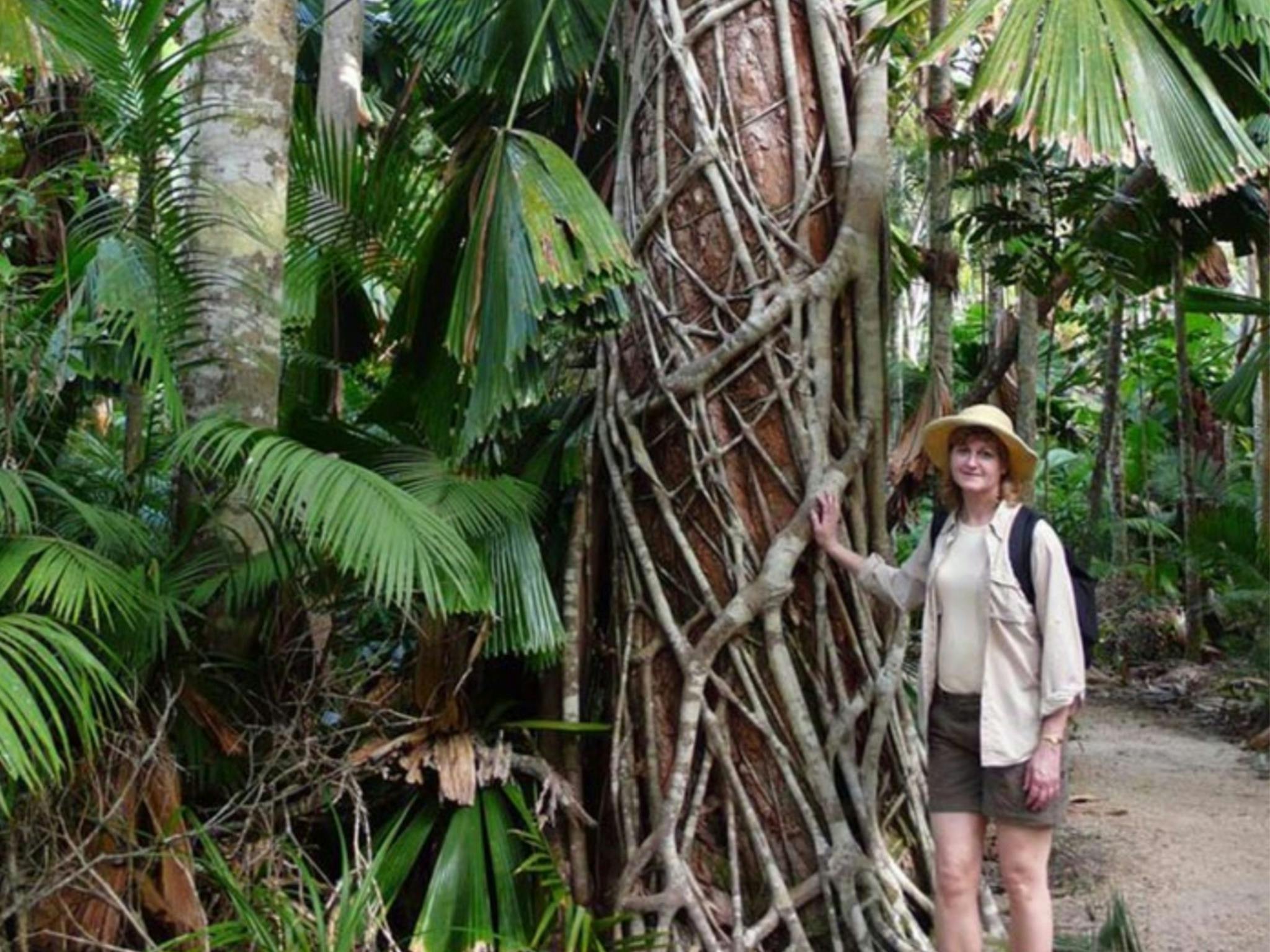 Atherton Tablelands