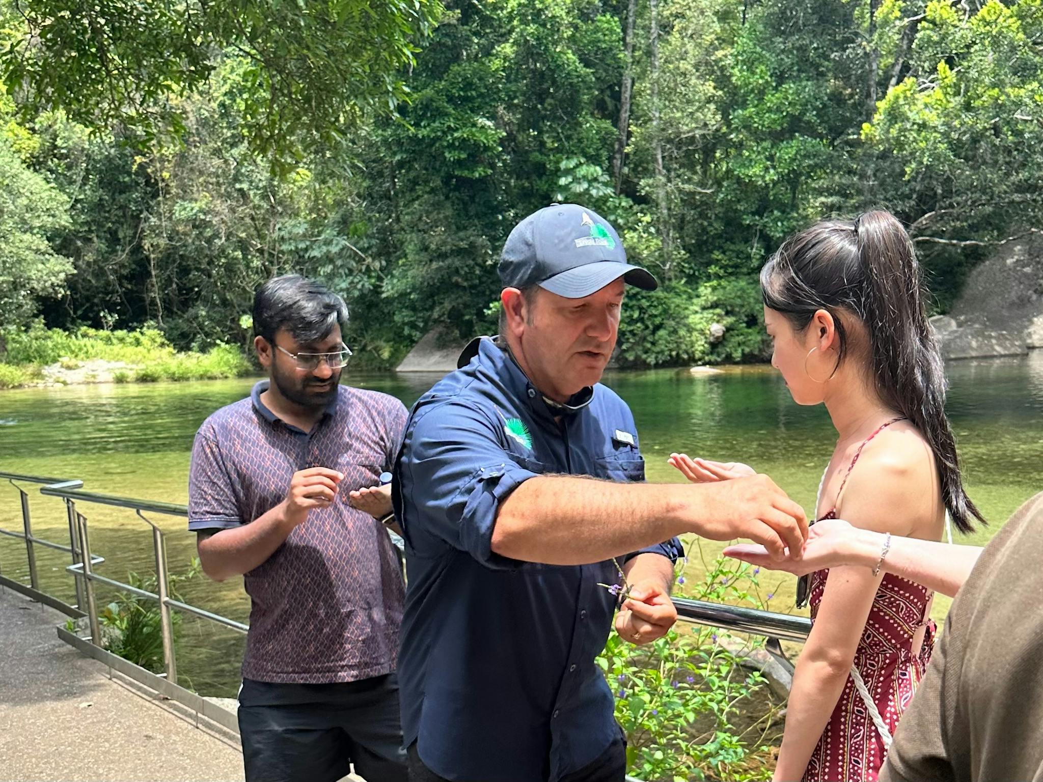 Babinda Boulders- Interpretive tour of the area guide engages travellers to touch bush medicine Babinda Boulders- Interpretive tour of the area guide engages travellers to touch bush medicine