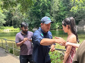 Tropic Tours