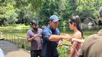 Babinda Boulders- Interpretive tour of the area guide engages travellers to touch bush medicine