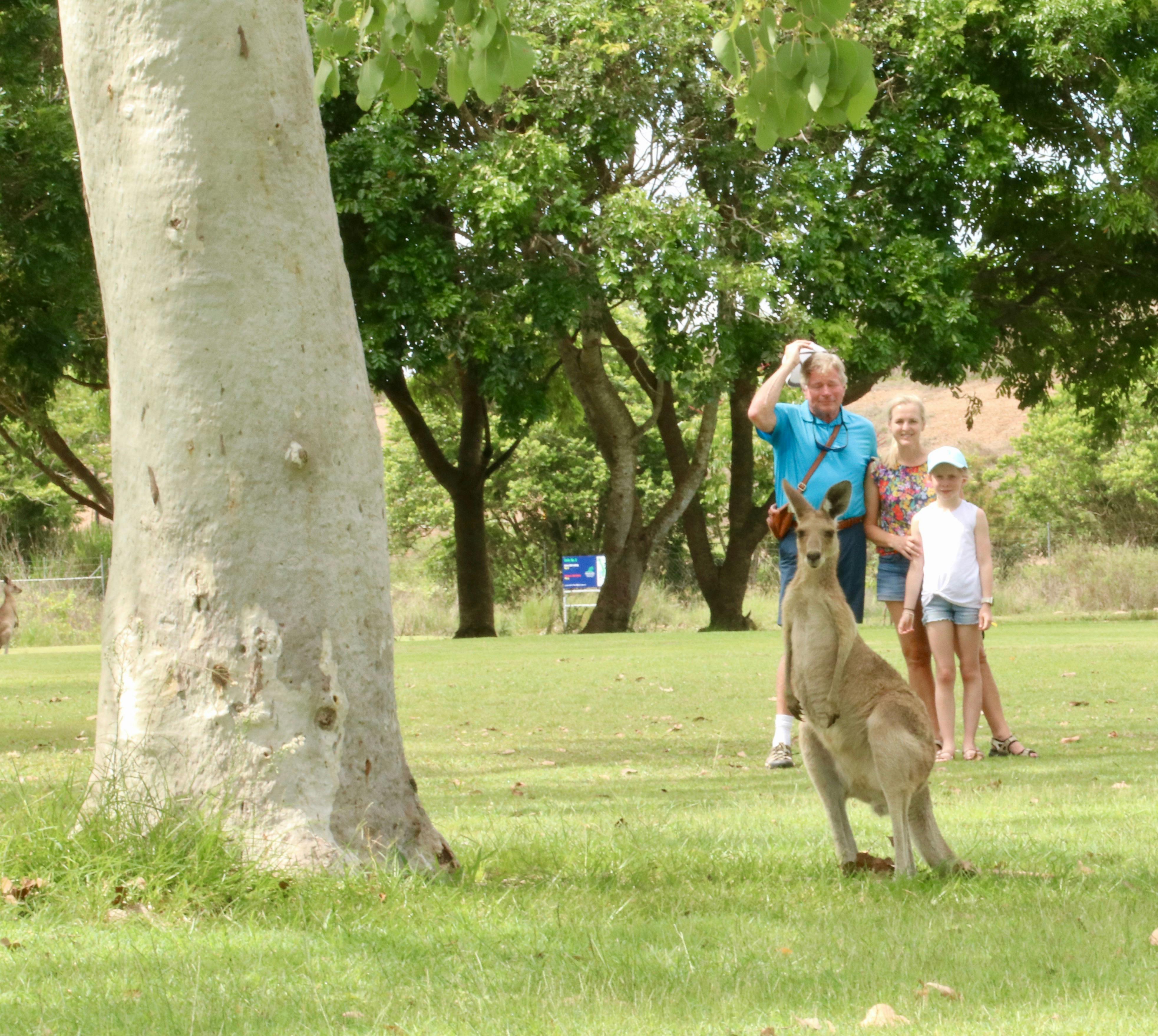 Wildlife trips
