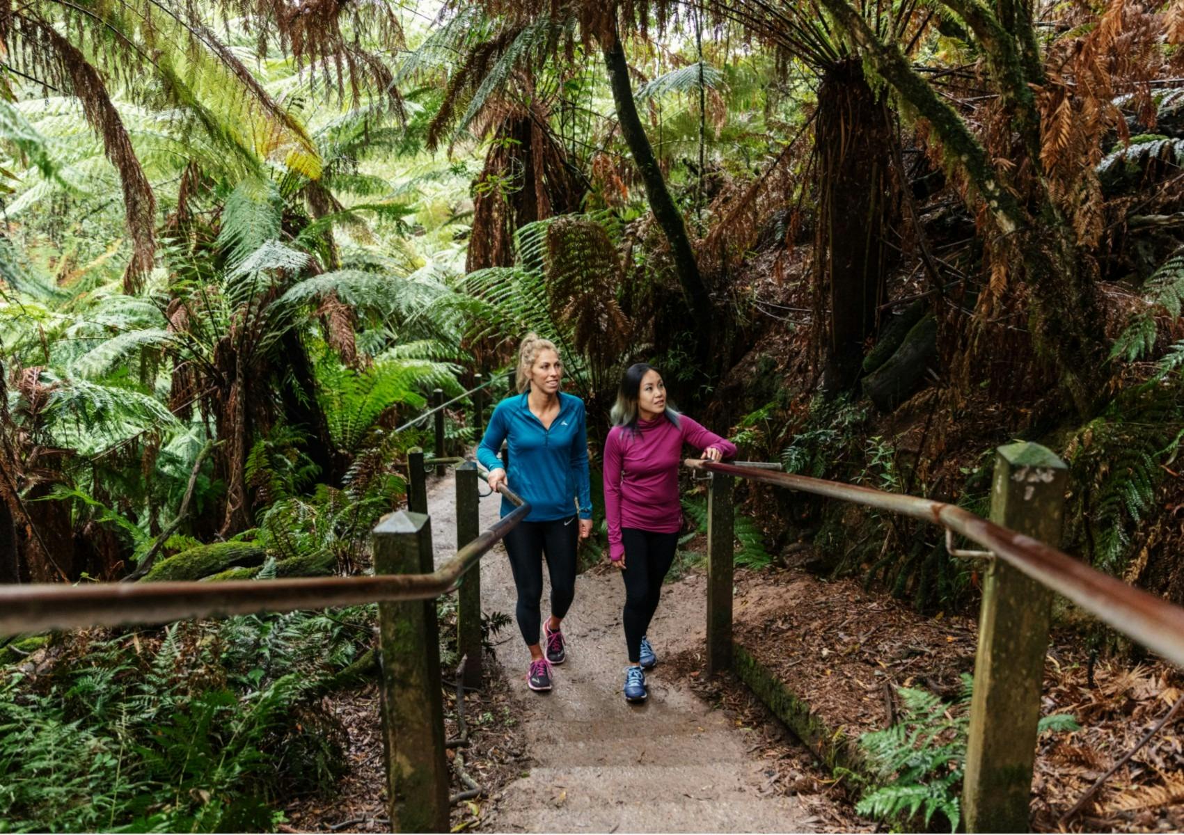 Dandenong Ranges National Park
