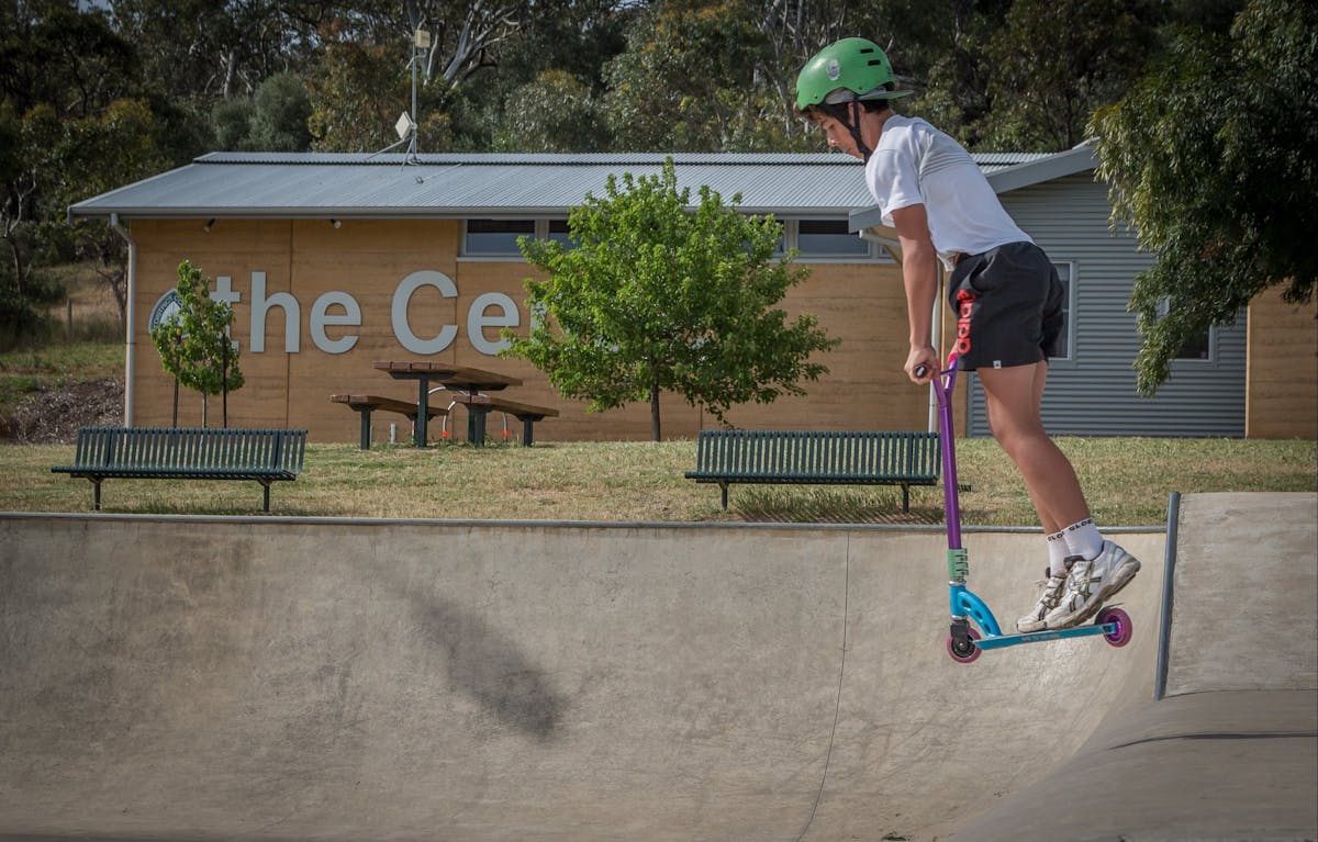 Lions,skate