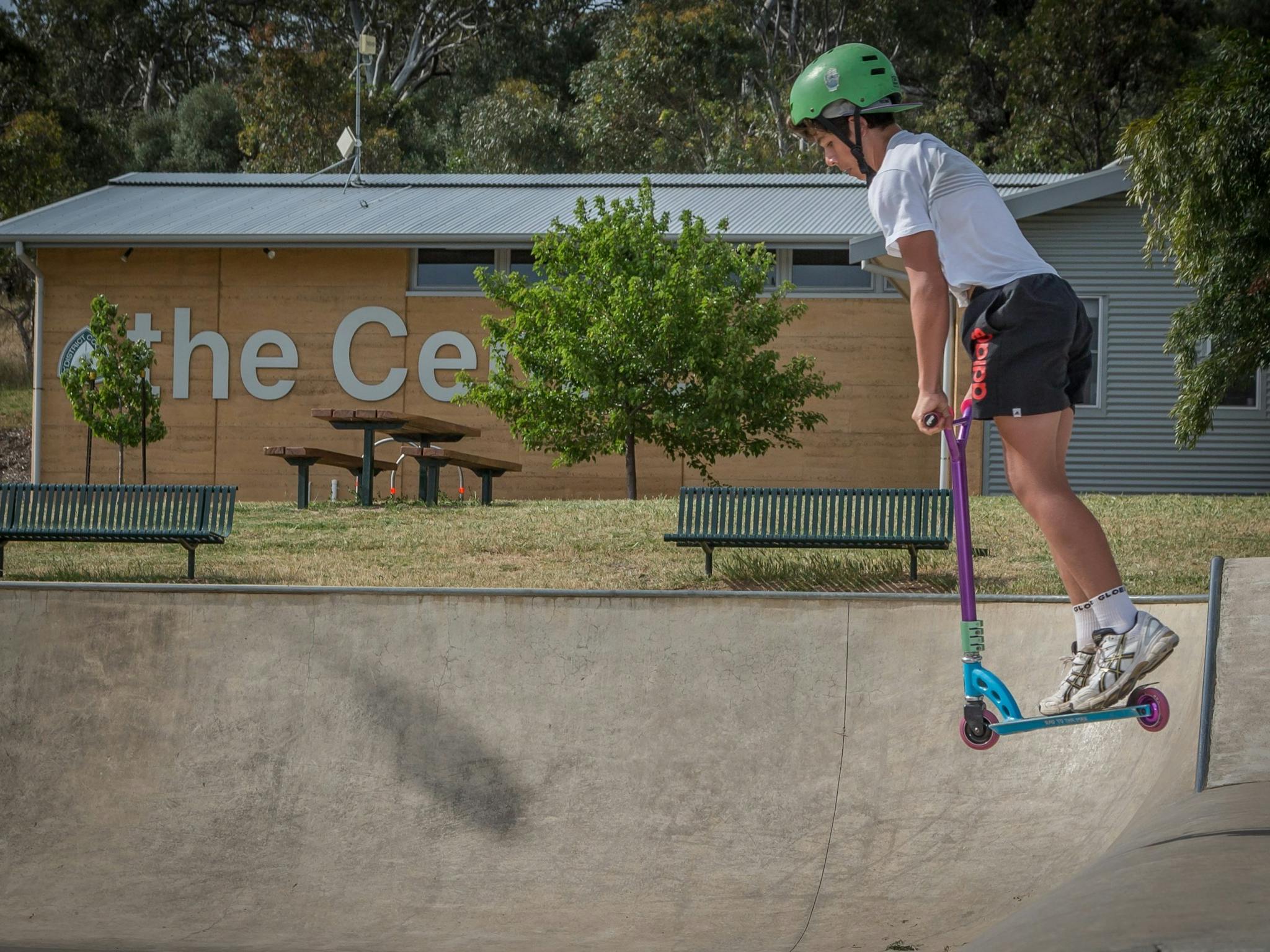 Lions,skate