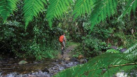 Goldsborough Valley, Wooroonooran National Park