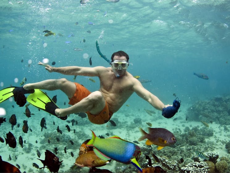 Snorkelling Lord Howe Island