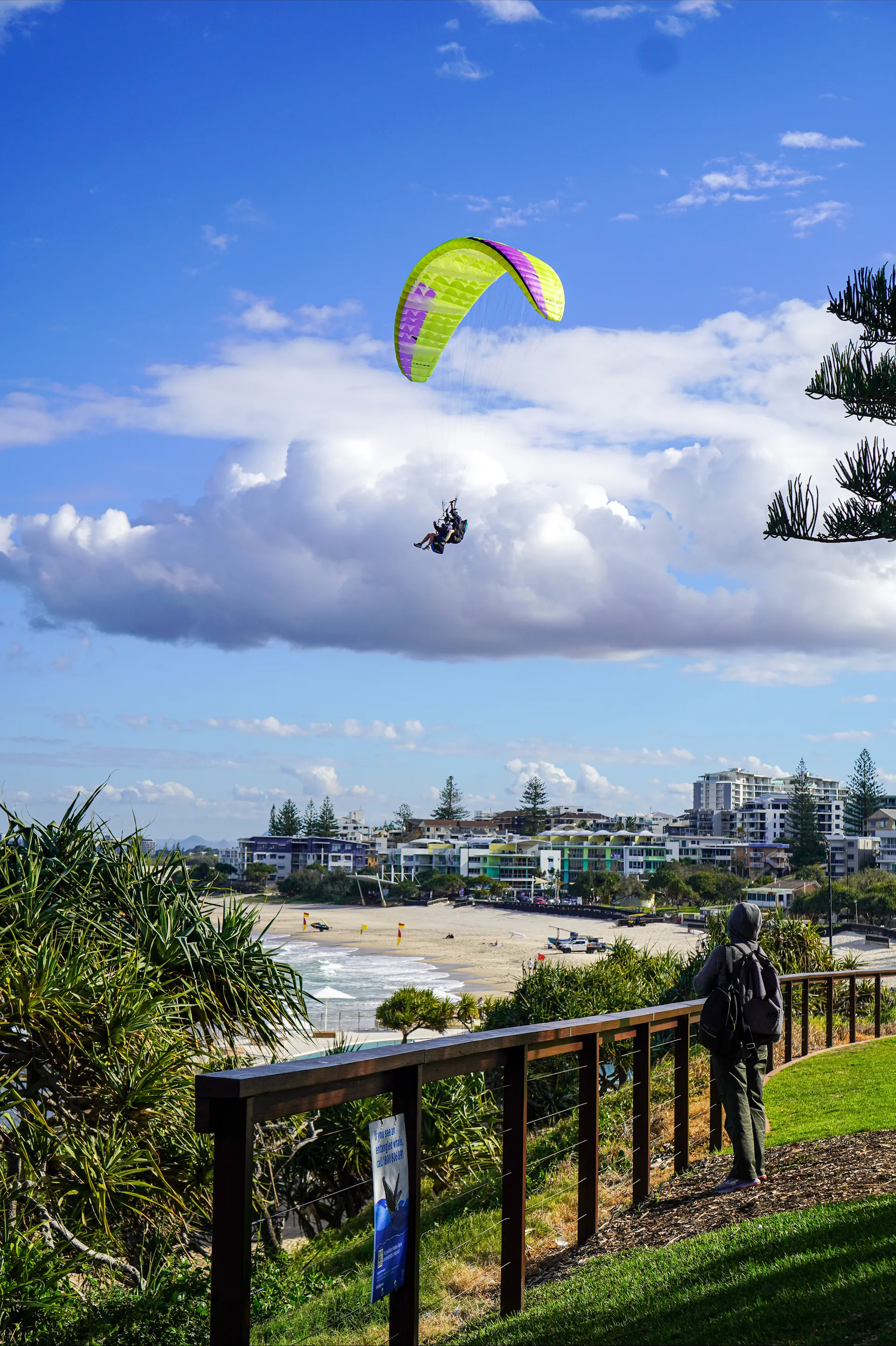 Tandem Paragliding over King's Beach!