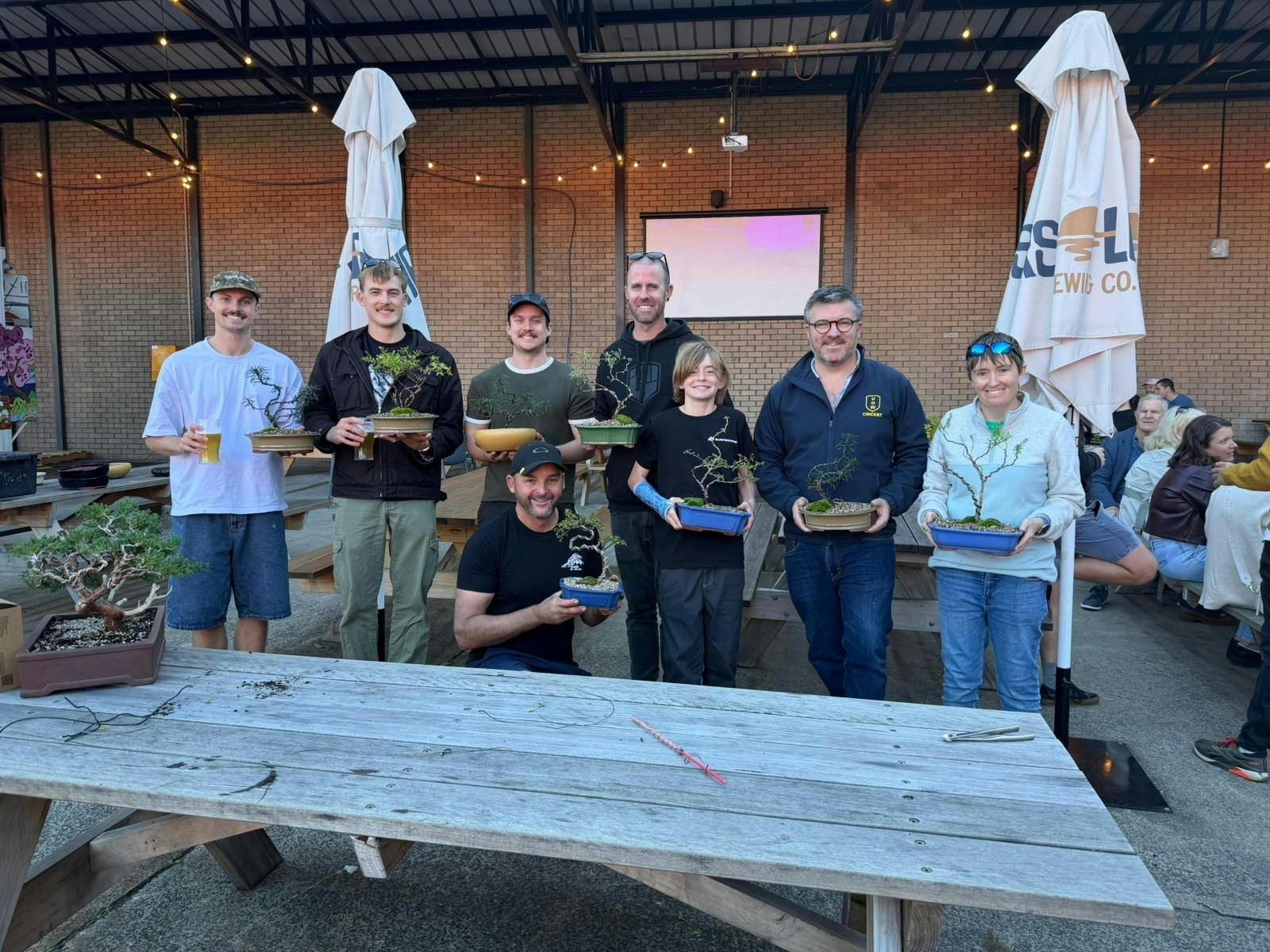 finished bonsai group
