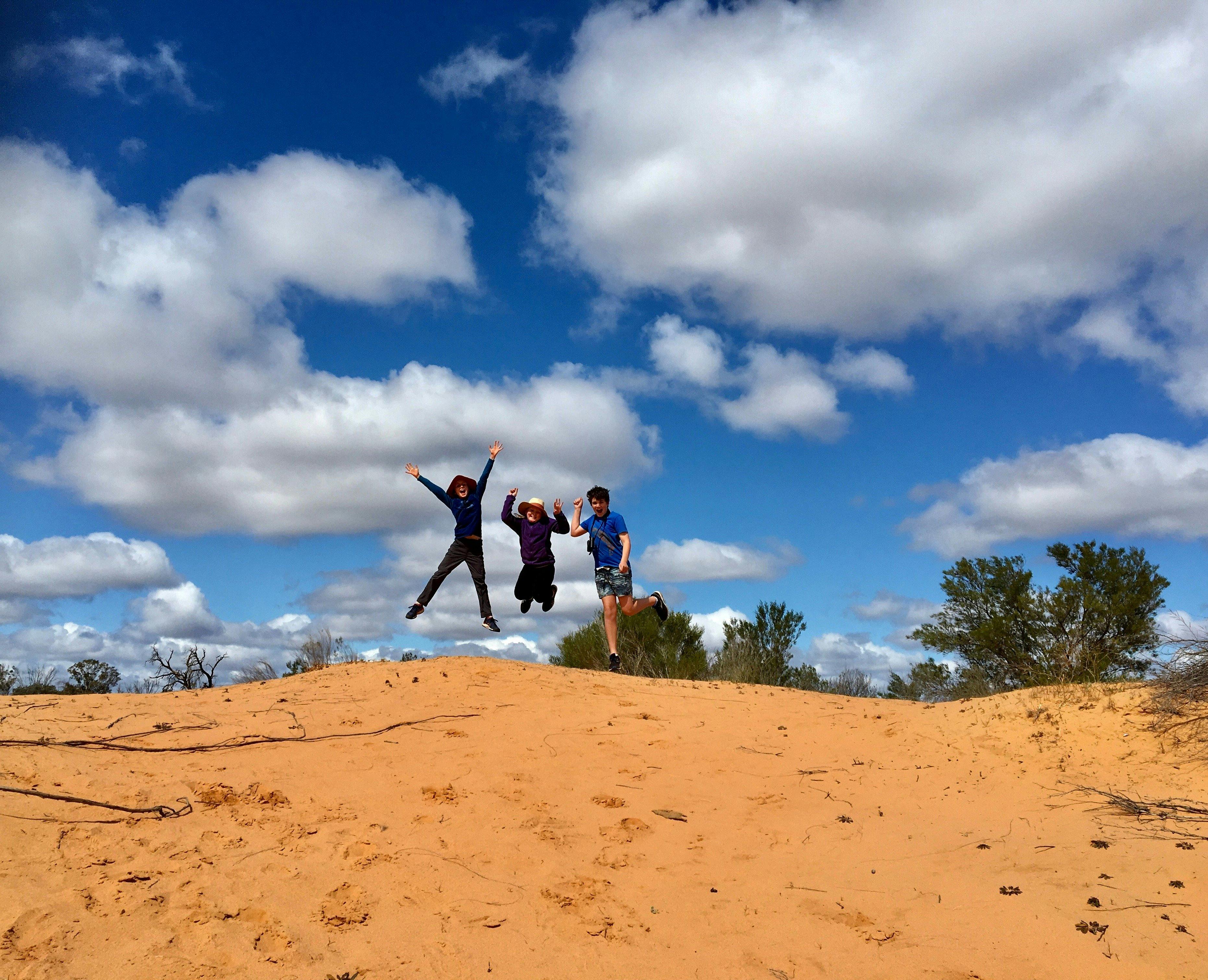 Follow the many animal tracks on a sand dune