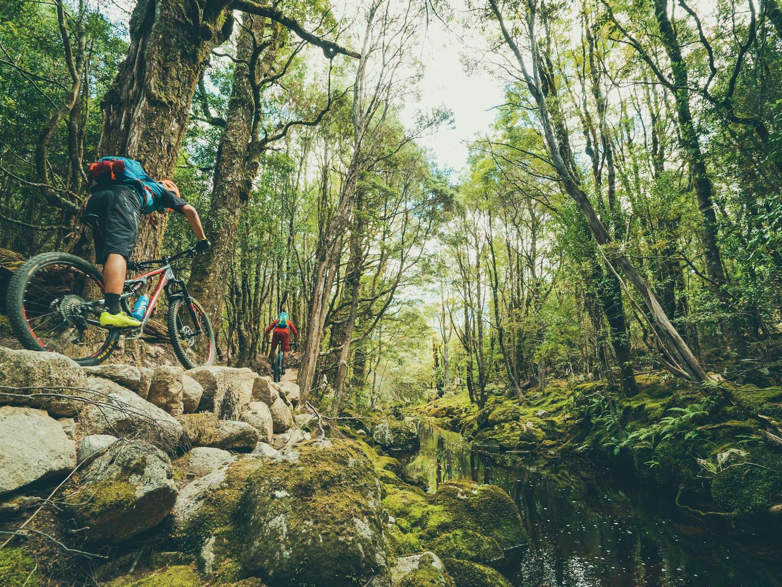 Blue Derby Trails