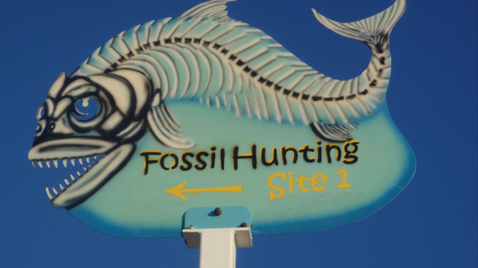 Richmond Fossil Hunting Sites