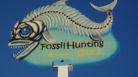 Richmond Fossil Hunting Sites