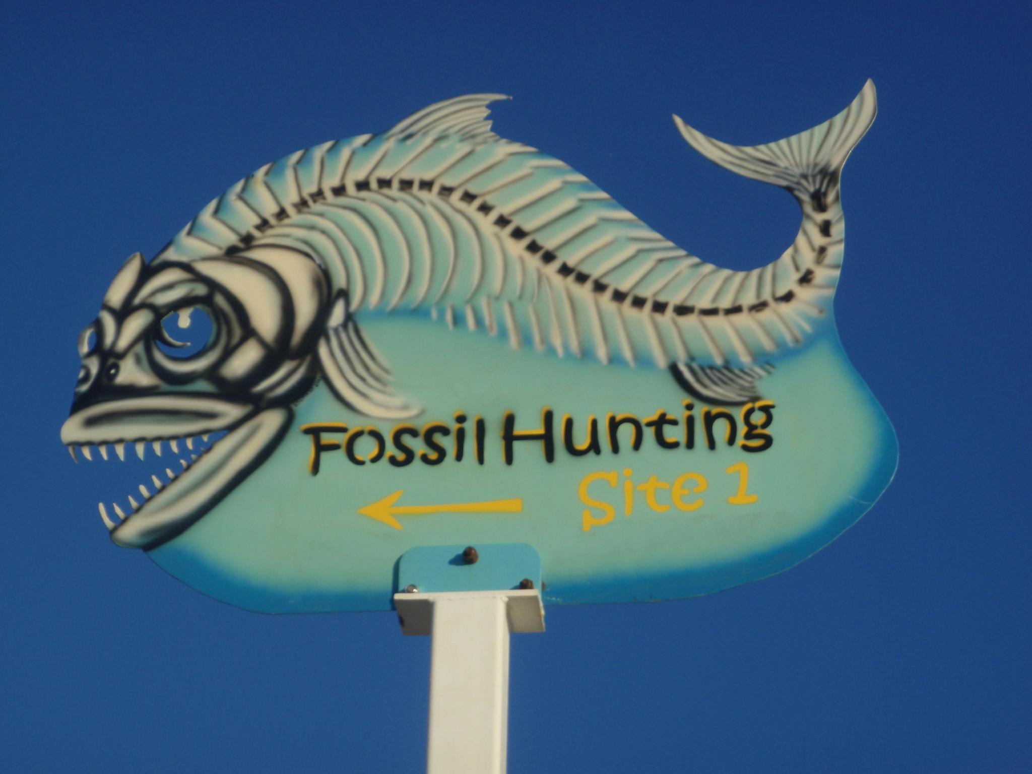 hunting sites