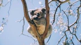 Samford Conservation Park and Bunyaville Conservation Park