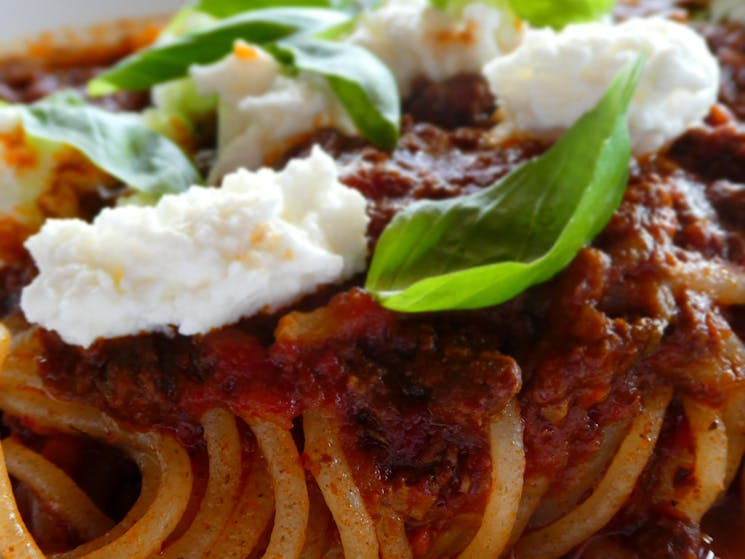 Spaghetti Bolognese, ricotta, basil