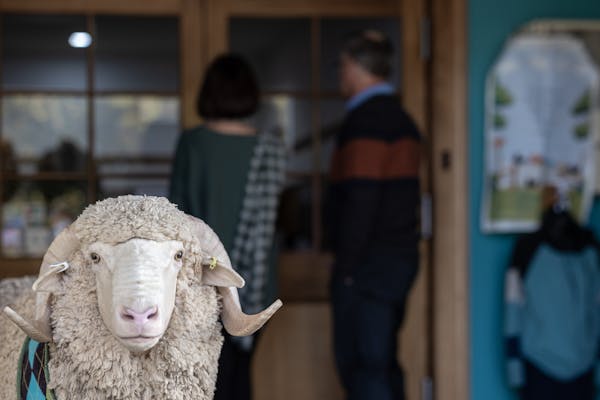 Tasmanian Wool Centre